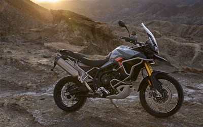 Tiger 900 Desert Edition