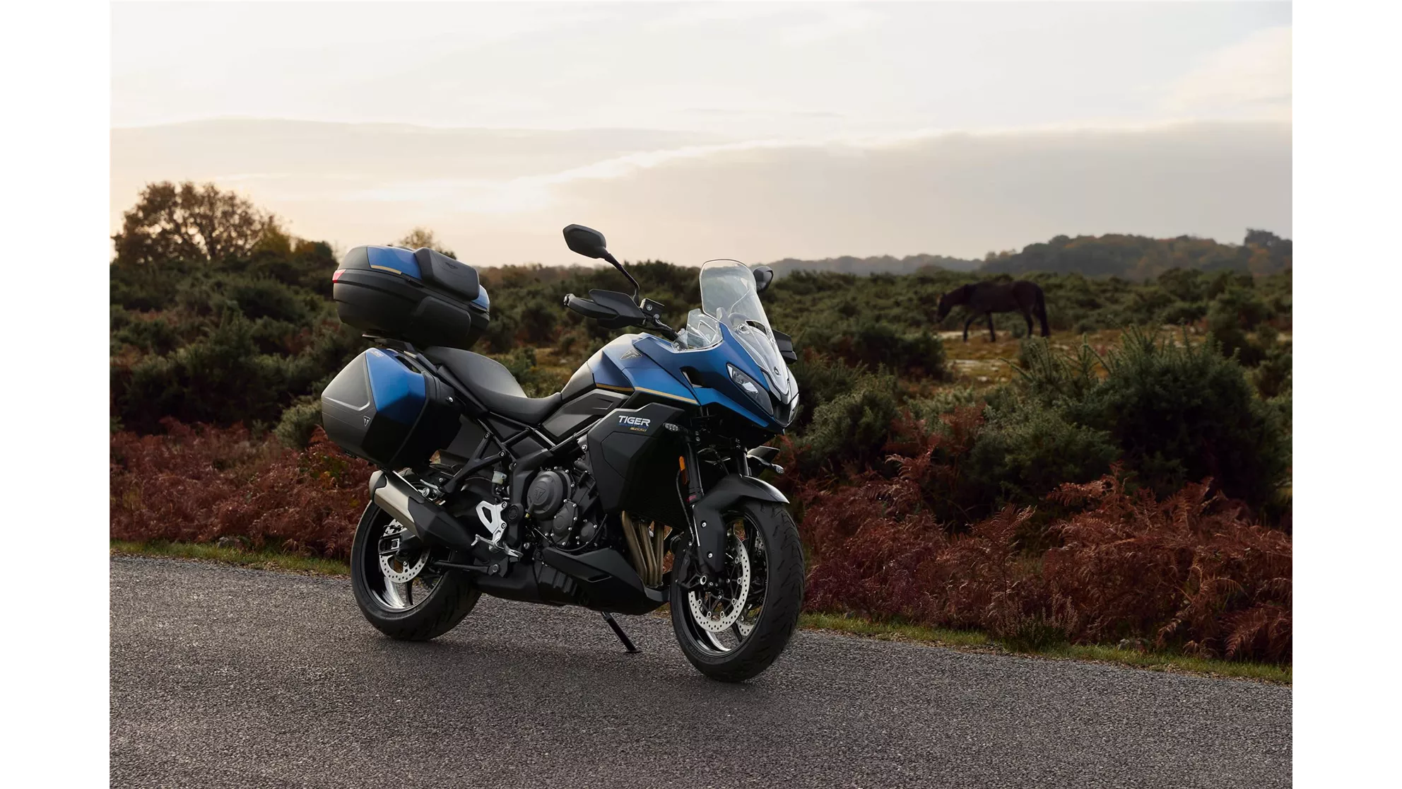 Triumph Tiger Sport 800 Tour - Obrázek 2 Triumph Tiger Sport 800 Tour - Obrázek 2