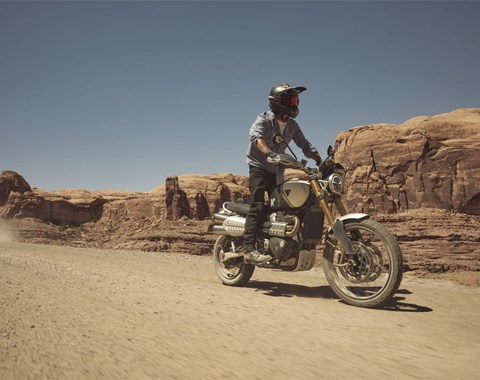 zum Vergrössern bitte anklicken!