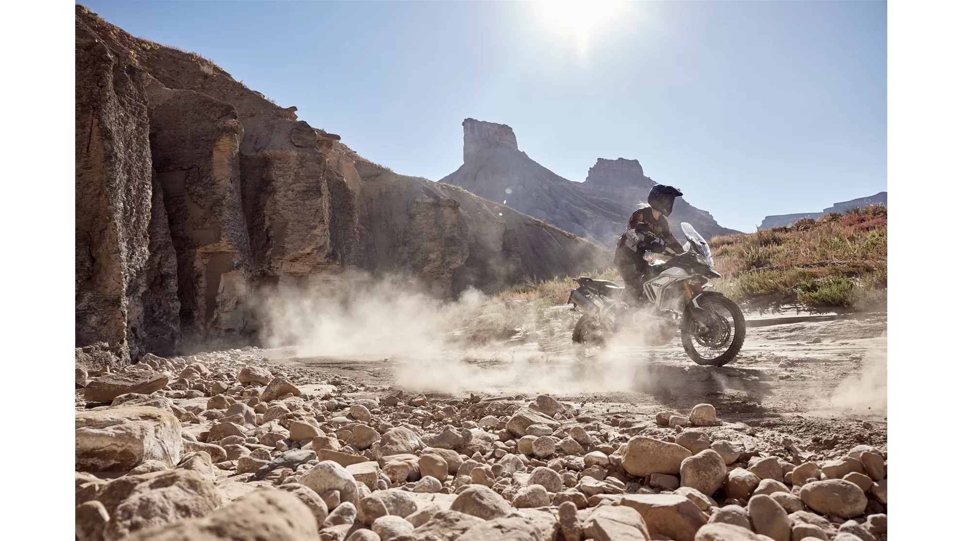 Triumph Tiger 900 Rally Pro - Image 8 Triumph Tiger 900 Rally Pro - Image 8