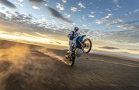 Yamaha Tenere 700 Rally 2026 - Bild 10