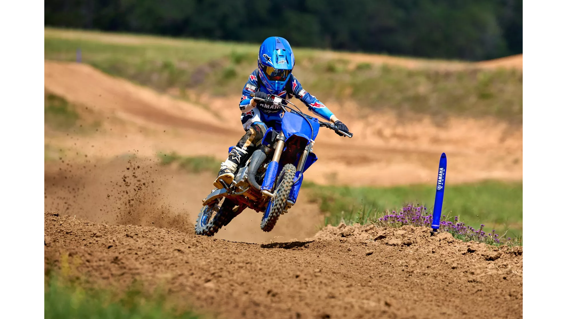 Yamaha YZ65 - Image 6 Yamaha YZ65 - Image 6