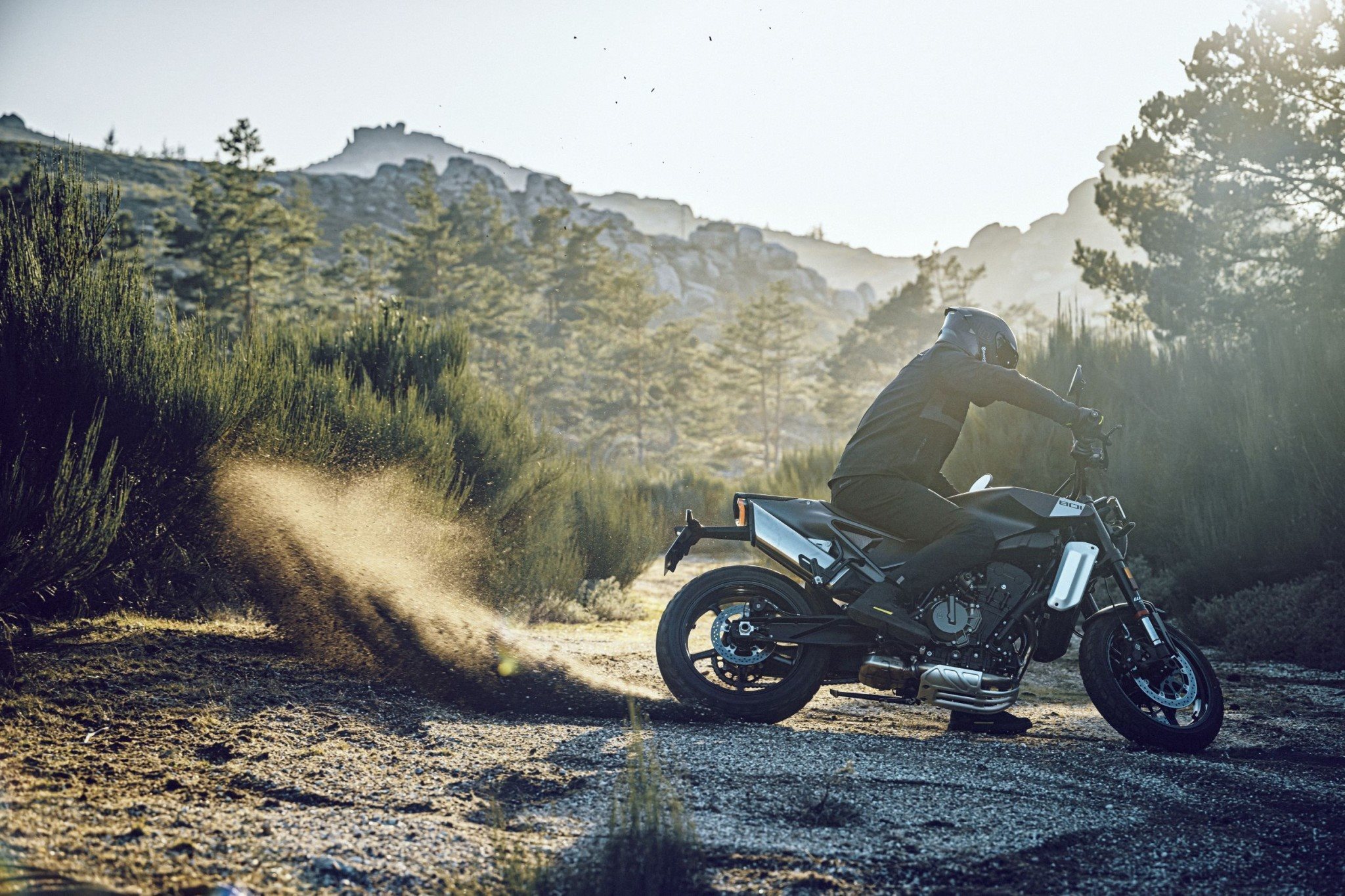 Husqvarna Svartpilen 801 - Obrázek 11
