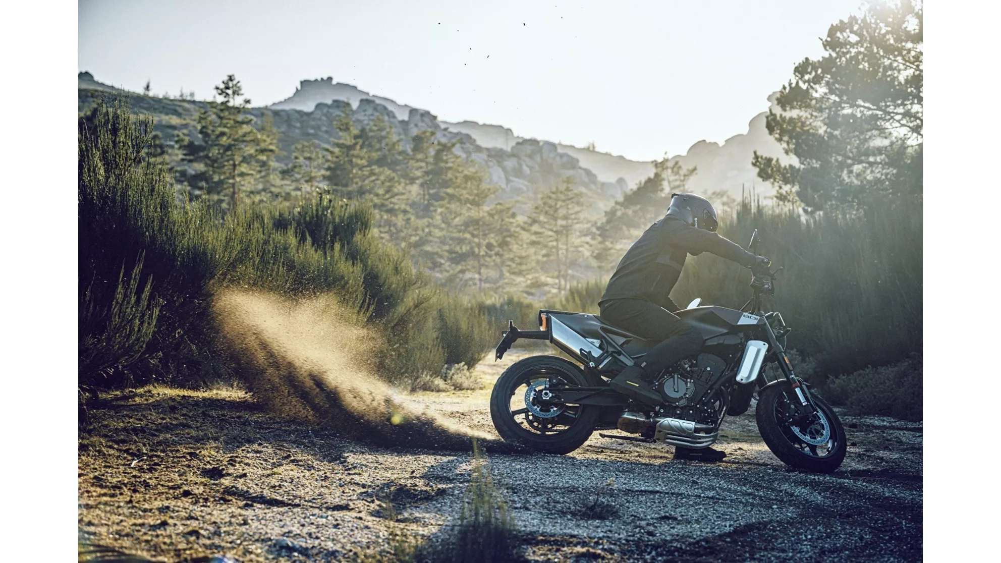 Husqvarna Svartpilen 801 - Obrázek 11 Husqvarna Svartpilen 801 - Obrázek 11