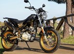 Rieju Tango 125i Scrambler