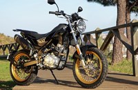 Rieju Tango 125i Scrambler 2026 - Bild 3