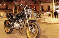 Rieju Tango 125i Scrambler 2026 - Bild 4