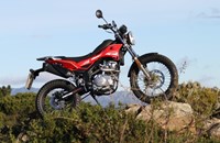 Rieju Tango 125i 2026 - Bild 3