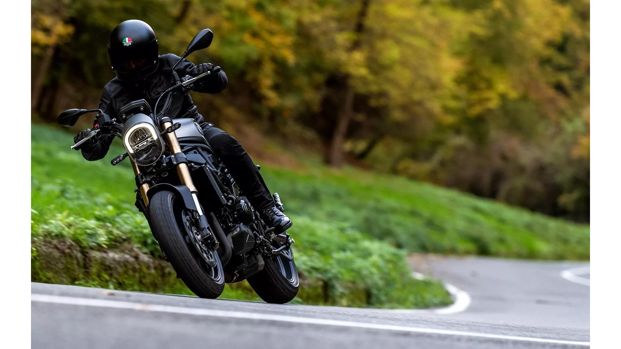 Benelli Leoncino 800 - Resim 1 Benelli Leoncino 800 - Resim 1