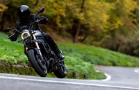 Benelli Leoncino 800 2026 - Bild 3