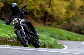 Benelli Leoncino 800 2026 - Bild 3