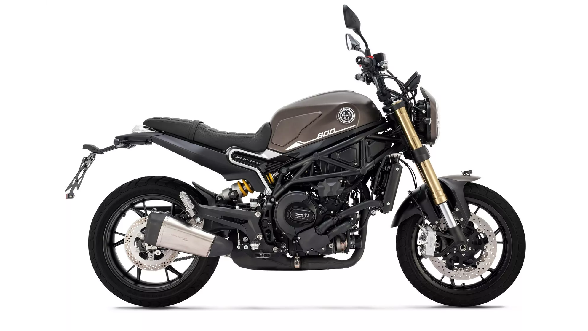 Benelli Leoncino 800 - Resim 2 Benelli Leoncino 800 - Resim 2