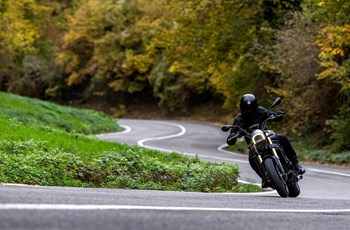 Benelli Leoncino 800 2026 - Bild 6