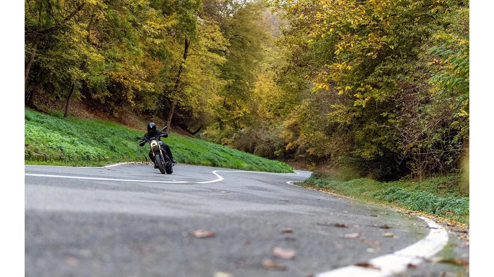 Benelli Leoncino 800 - Resim 5 Benelli Leoncino 800 - Resim 5