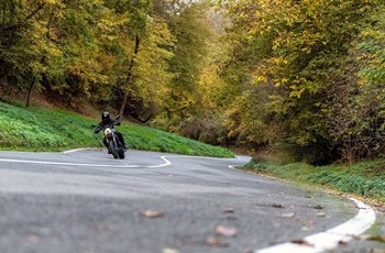 Benelli Leoncino 800 2026 - Bild 7