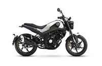 Benelli Leoncino 125 2026 - Bild 8