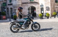 Mash Black Seven 2026 - Bild 4