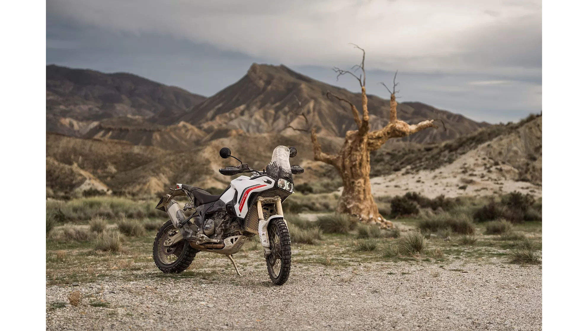 Ducati DesertX - Image 1 Ducati DesertX - Image 1