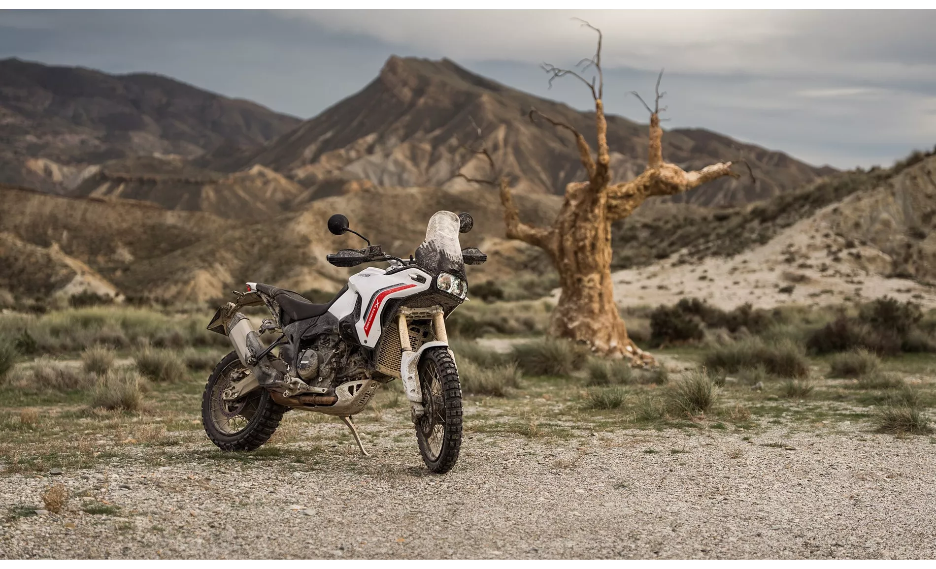 Ducati DesertX 2026 Ducati DesertX 2026