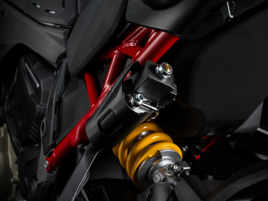 Ducati Multistrada V4 Rally Bild 8: Ducati Multistrada V4 Rally