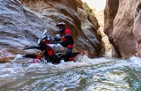 Ducati DesertX Rally 2026 - Bild 10