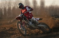 Ducati Desmo450 MX Factory 2026 - Bild 4