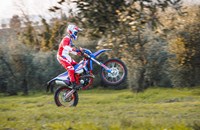 Beta RR 4T 125 R 2026 - Bild 3