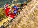 Beta RR Race 4T 390