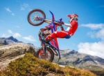 Beta RR Race 4T 430