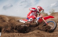 Beta RX 250 2T 2026 - Bild 3