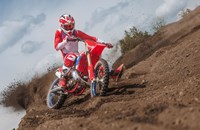 Beta RX 250 2T 2026 - Bild 4