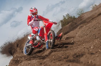 Beta RX 250 2T 2026 - Bild 4