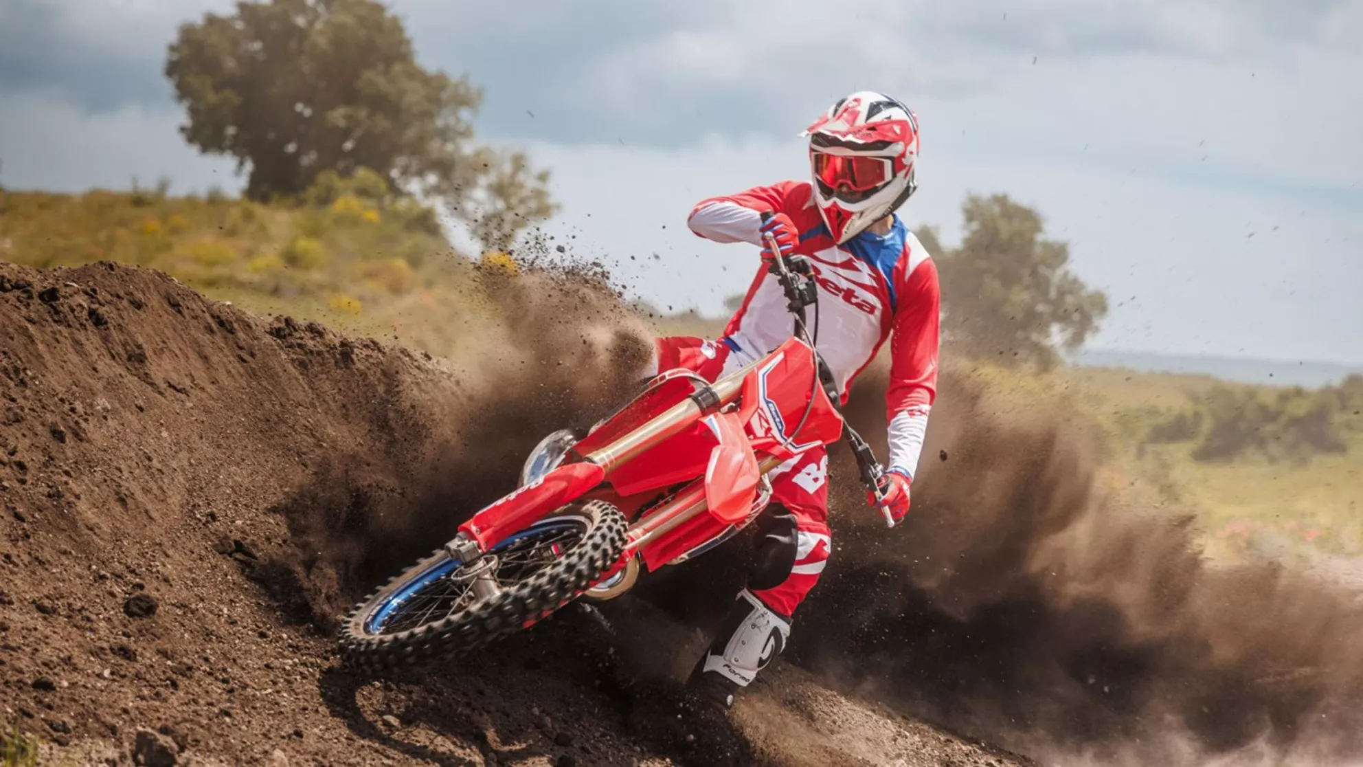 Beta RX 350 2T - Image 2 Beta RX 350 2T - Image 2