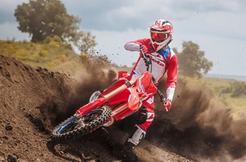 Beta RX 350 2T 2026 - Bild 4