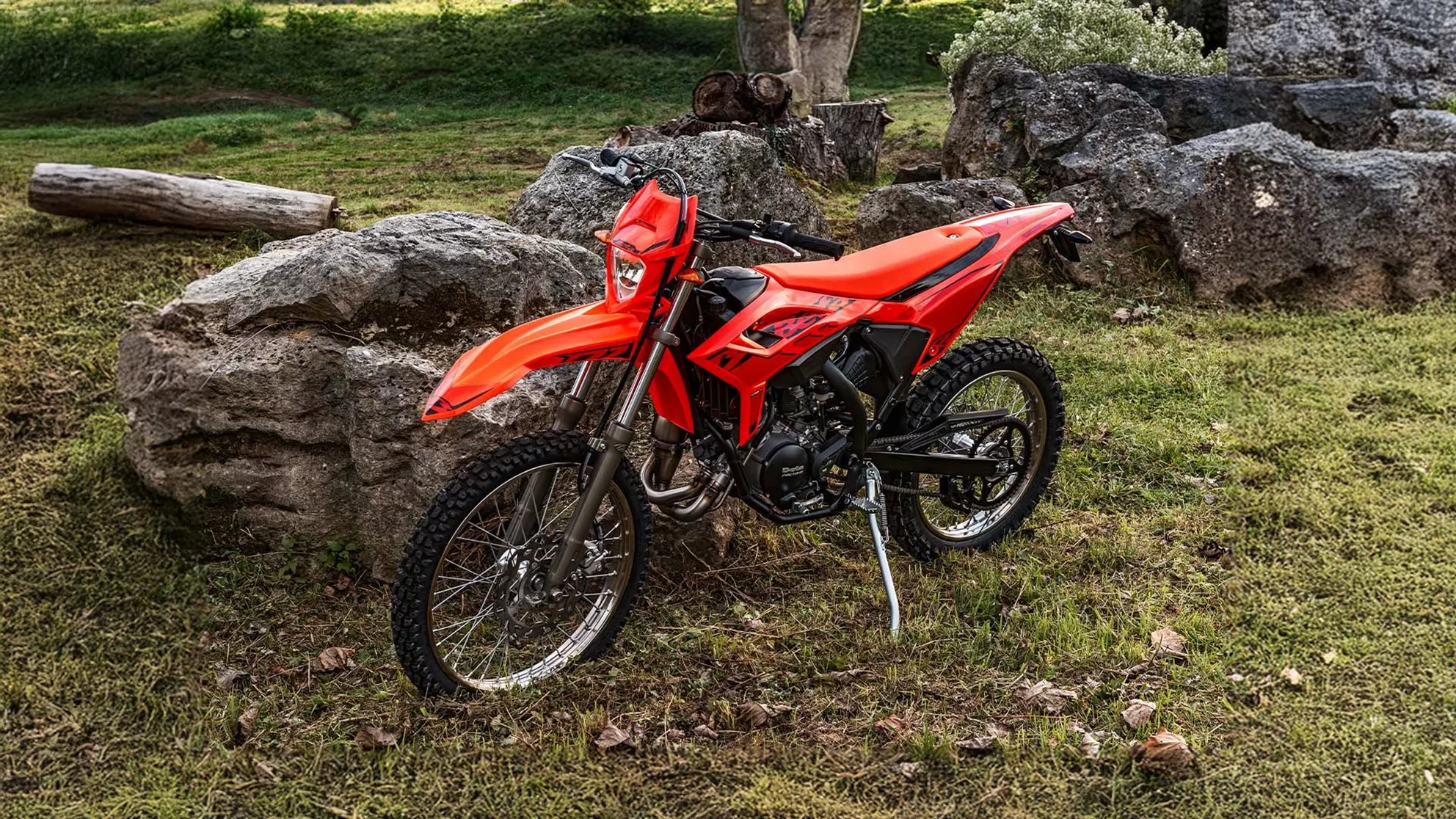 Beta RR 50 - Imagen 6 Beta RR 50 - Imagen 6