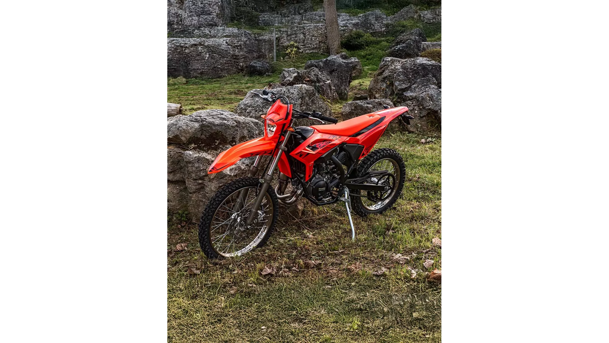 Beta RR 50 - Imagen 7 Beta RR 50 - Imagen 7