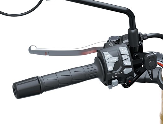 Kawasaki Z900 RS SE () - Bild 6