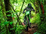 Kawasaki KX250X