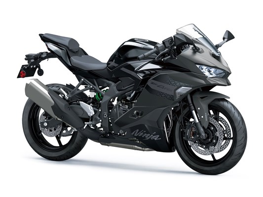 Kawasaki Ninja ZX-4RR 