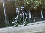 Kawasaki Eliminator 500