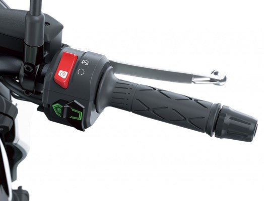 Kawasaki Z7 Hybrid () - Bild 9