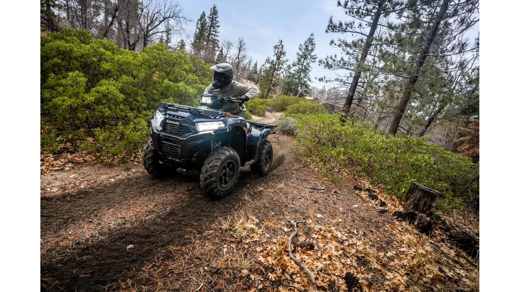 Kawasaki Brute Force 750 - Image 1 Kawasaki Brute Force 750 - Image 1