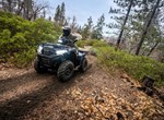 Kawasaki Brute Force 750