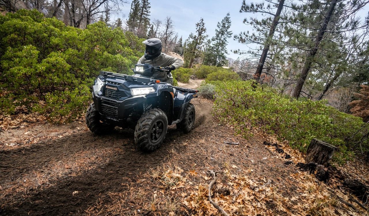 Kawasaki Brute Force 750