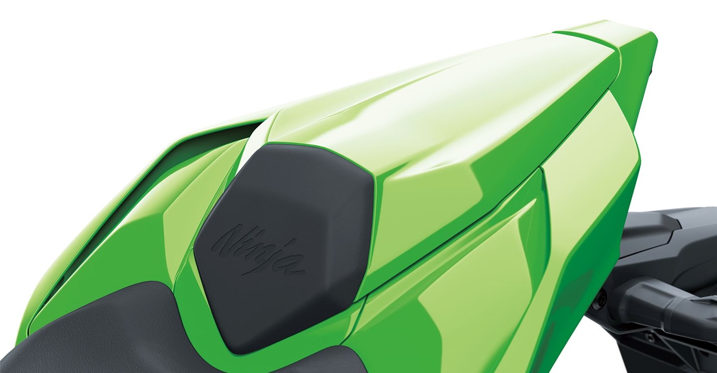Kawasaki Ninja ZX-10RR