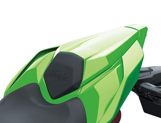 Kawasaki Ninja ZX-10RR () - Bild 4