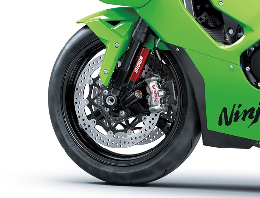 Kawasaki Ninja ZX-10RR () - Bild 6