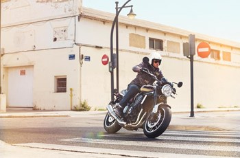 Kawasaki Z900 RS 2026 - Bild 15