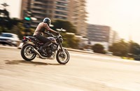 Kawasaki Z900 RS 2026 - Bild 17