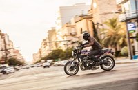 Kawasaki Z900 RS 2026 - Bild 18